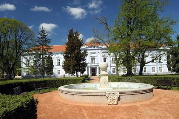 Kimy Home Mojmírovce Exteriér fotografie